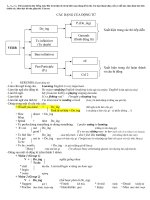Các dạng của động từ