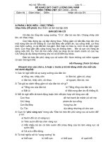 Đề KSĐN Tiếng Việt 5