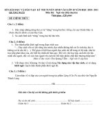 Đề thi vào lớp 10 chuyên môn Ngữ Văn - Quảng Ngãi