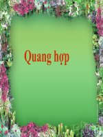 Quang Hợp