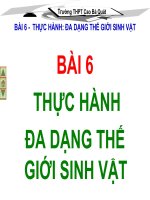 THỰC HÀNH  ĐA DẠNG THẾ GIỚI SINH VẬT