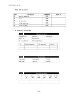 Phan tich thiet ke he thong chuyen bay 