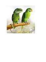 Sự hoán cải của tạo hóa