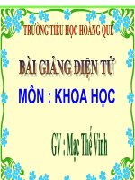 co quan sinh san cua thuc vat co hoa
