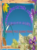 hoi giang cap tr­uong