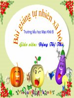 Một số loài vật sống trên cạn