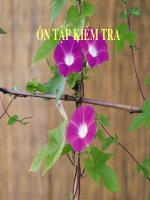 DIA 9 on tap kiem tra