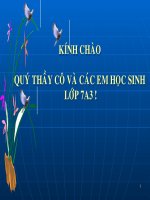 văn 7.Bai ca nha tranh bi gio thu phá