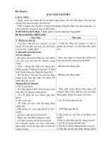 Kể chuyện - Tuân 11