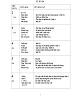 Tuần 29 lớp 5 SN