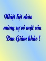 NV8 :Nước Đại Việt ta
