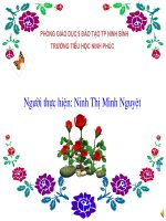 Bài 19 Luyện tu và câu