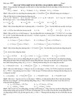 BÀI TẬP TỔNG HỢP SỐ 8 CHƯƠNG I DAO ĐỘNG ĐIỀU HÒA
