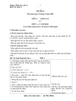 Bài soạn lớp 2 ( Theo lịch dạy)