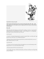 Mẹo đuổi con trùng trong nhà