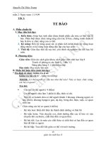 GIÁO ÁN CỰC CHUẨN ( cả năm )