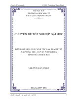 ĐÁNH GIÁ HIỆU QUẢ CANH tác cây THANH TRÀ xã PHONG THU   HUYỆN PHONG ĐIỀNTỈNH THỪA THIÊN HUẾ 