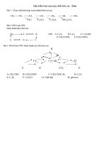 Dãy biến hoá - Este