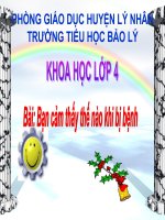 Khoa học 4 : Bạn cảm thấy thế nào khi bị bệnh