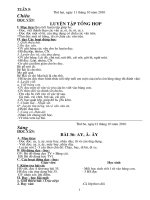 Giáo án dạy ngày 2 buổi( Tuần 9 lớp A)