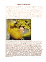 Sống và không hối tiếc..