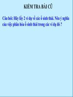 Bài 36: Quần thể sinh vật và mối quan hệ giữa các cá thể trong quàn thể