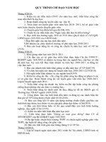 Quy trình chỉ đạo năm học 2010-2011