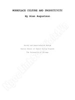 Workplace culture and productivity