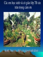 tieng ga trua- xuan quynh