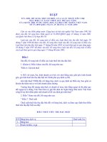 BO SUNG THUE GTGT-TIEU THU DAC BIET