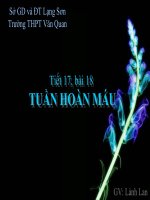 Bài 18. Tuần hoàn máu