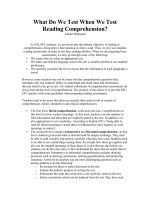 What Do We Test When We Test Reading Comprehension