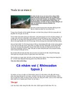 cá nhám thuộc lớp cá sụn