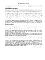 Trà nhân trần có công dụng gì