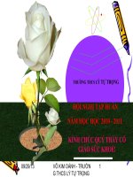 Tap huan mon toan THCS 2010