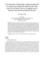 Các hình phạt và biện pháp tư pháp áp dụng đối  với người chưa thành niên phạm tội theo luật  hình sự Việt Nam (Trên cơ sở nghiên cứu số liệu thực tiễn địa bàn thành phố Hà Nội)