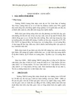 SKKN dành cho CTĐỘI