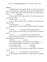 Đề thi Violympic-V19-Lơp1