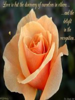 TV 2 tuan 35: Ôn tập (tiết 1)