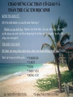 Đặc điểm chung của thực vật