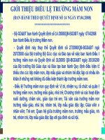 DIEU LE TRUONG MN MOI