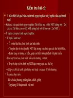 Bài 10: Nguyên phân