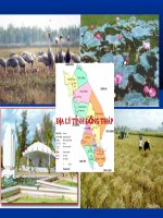 Tim hieu dia ly dong thap