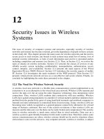 Security Issues in Wireless Systems