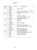 giao an lop 5 tuan 23 nam hoc 08 -09