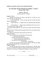 Đề HSG huyện 08-09 Ngữ văn 9 V1