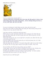 THÚ VỊ VỀ CÁC LOÀI HOA