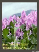 KHÔNG KHÍ BỊ Ô NHIỄM