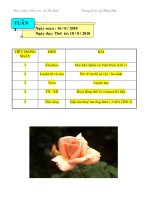 giao an lop 3 tuan 1 thu 4,5,6