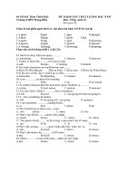 de kiem tra chat luong dau nam lop 11